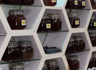 مشروع بيع العسل الاصلي