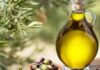 مشروع مصنع زيت الزيتون