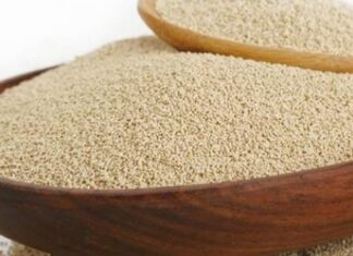 مشروع إنتاج الخميرة الطازجة