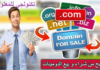 تجارة الدومينات (الربح من شراء وبيع الدومينات للمبتدئين )