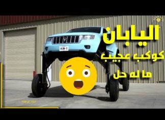 ما هي أغرب المشاريع الناجحة في اليابان